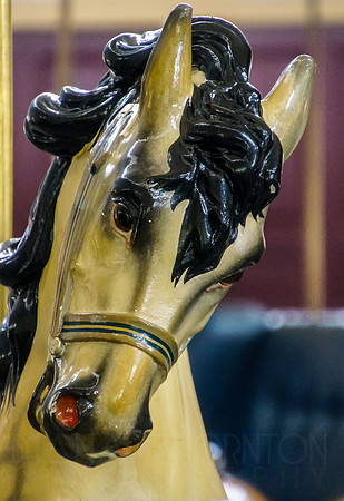 Dentzel-Carousel-02246
