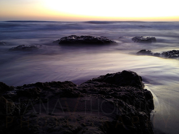 DianaThornton04-landscape