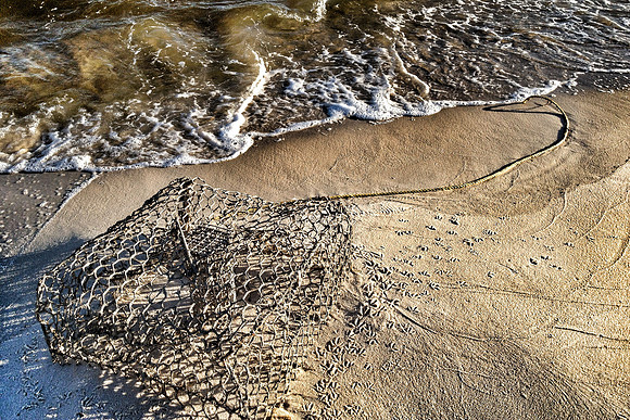 IMG_0335