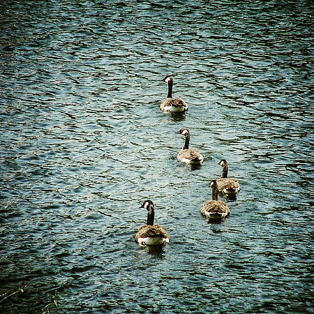 IMG_0501