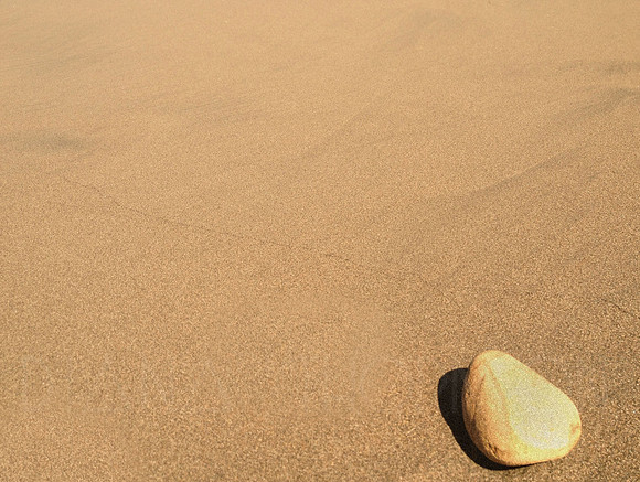 Beach Zen Garden