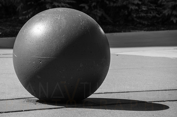 DSC09694-2