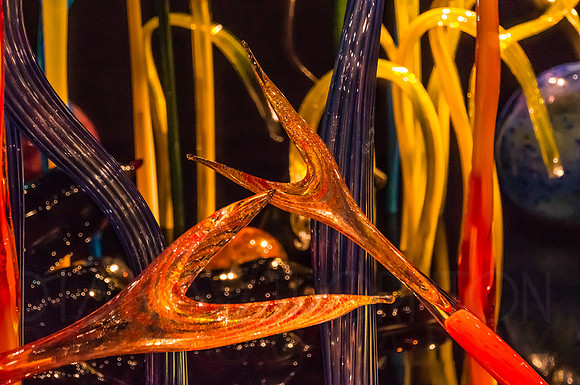 DSC09807