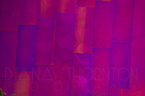 DSC09875