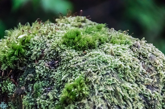 DSC05879