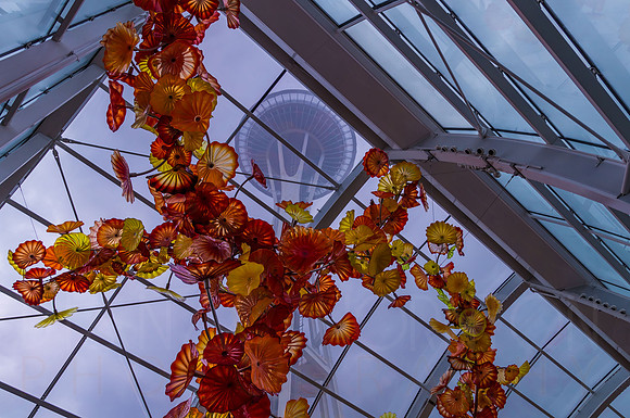 Space Needle Over Glass