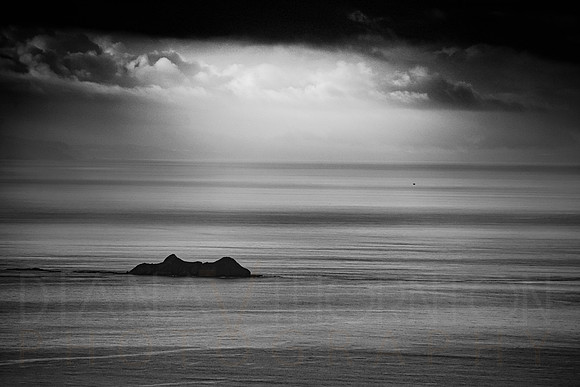 _A992419.jpg
