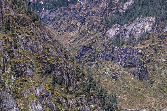 DSC07290