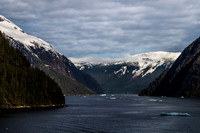 DSC06345