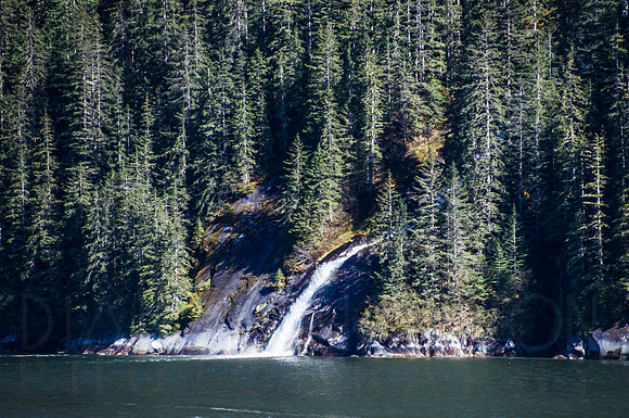 DSC07600