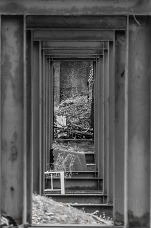 DSC05516