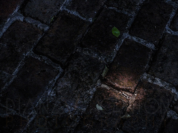 DSC00465