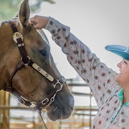 4-h-horse-show-254