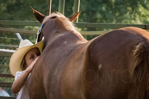4-h-horse-show-292