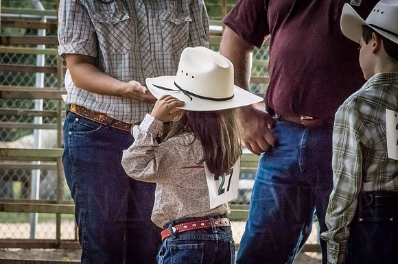 4-h-horse-show-244