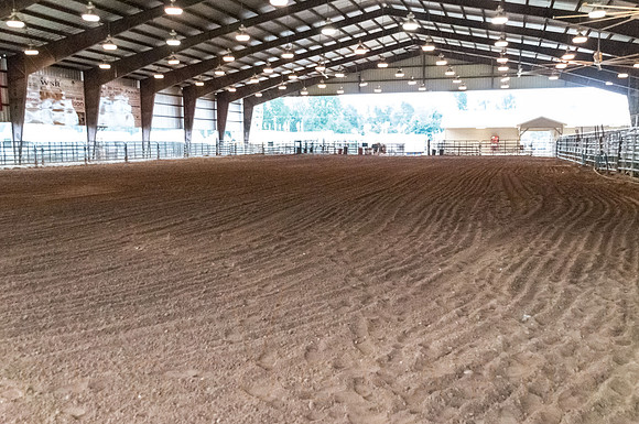 4-h-horse-show-230