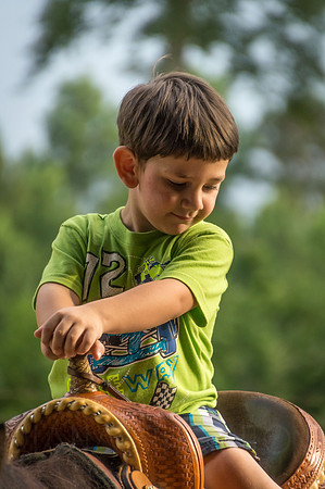 4-h-horse-show-216