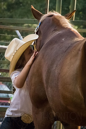 4-h-horse-show-294