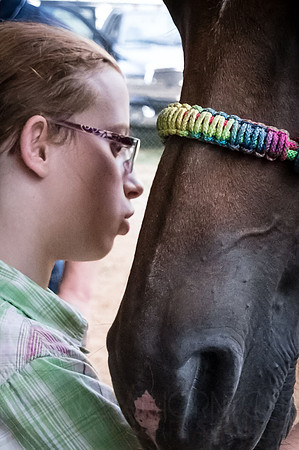 4-h-horse-show-302