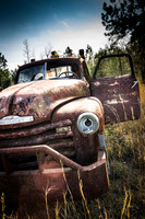 Out to pasture