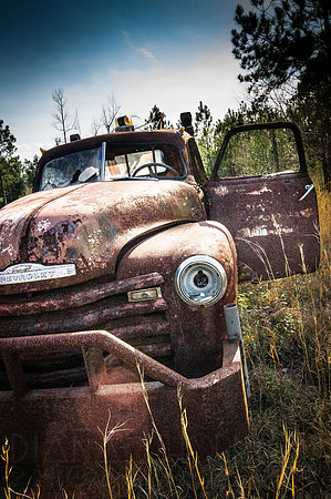 Out to pasture