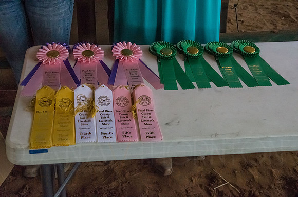 4-h-horse-show-320