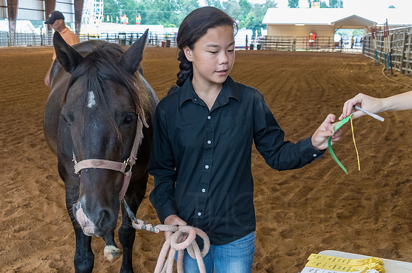 4-h-horse-show-507