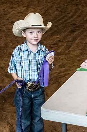 4-h-horse-show-702