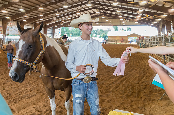 4-h-horse-show-488