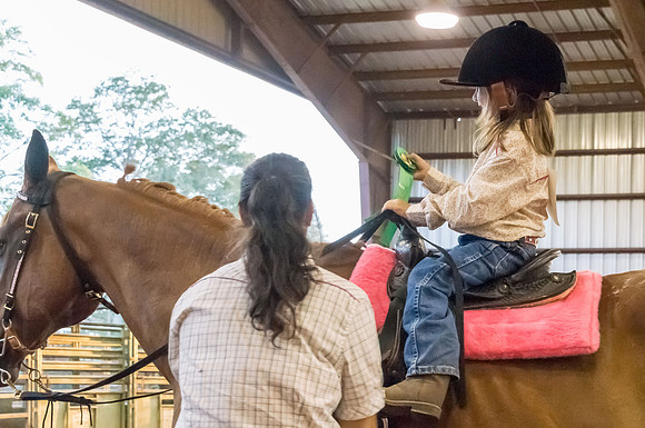 4-h-horse-show-802