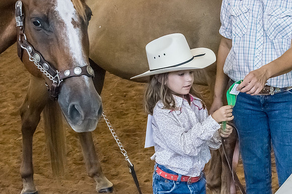 4-h-horse-show-709