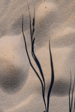 _A997018