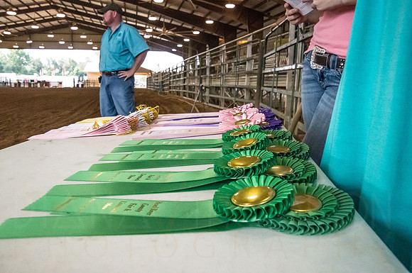 4-h-horse-show-326