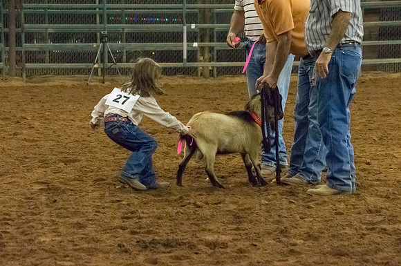4-h-horse-show-1117