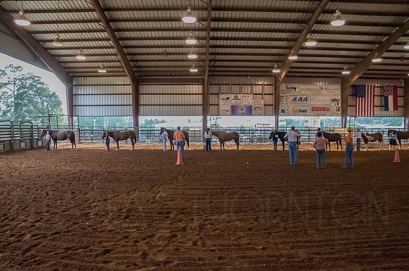 4-h-horse-show-464