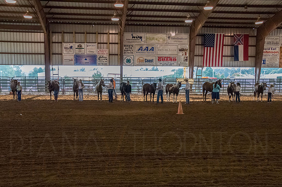 4-h-horse-show-452