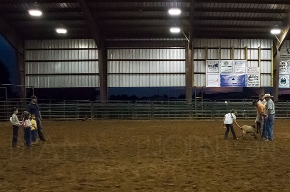4-h-horse-show-1123