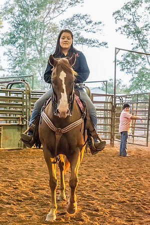 4-h-horse-show-832