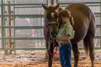4-h-horse-show-341