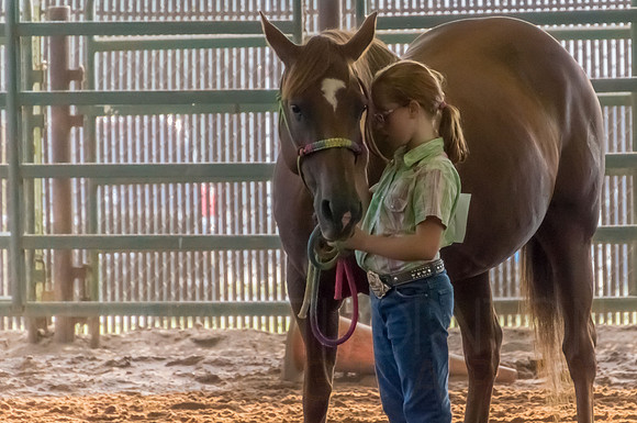 4-h-horse-show-341