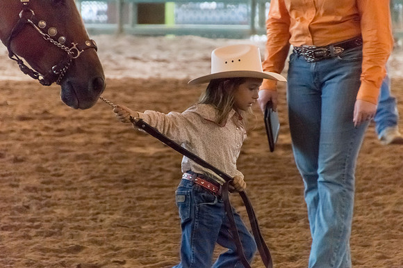 4-h-horse-show-514