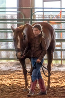 4-h-horse-show-385