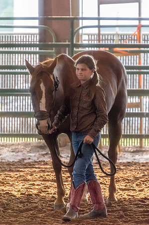 4-h-horse-show-385