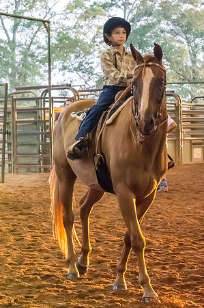 4-h-horse-show-814