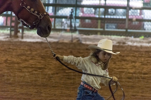 4-h-horse-show-515