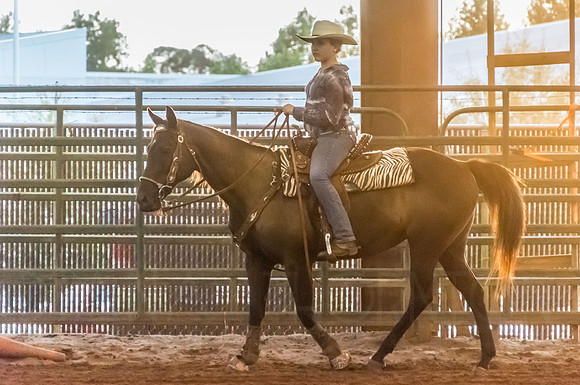 4-h-horse-show-853