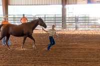 4-h-horse-show-338