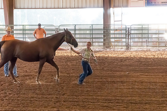 4-h-horse-show-338