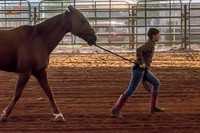 4-h-horse-show-347