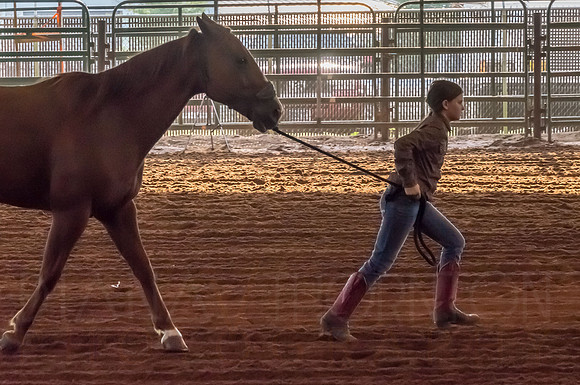 4-h-horse-show-347